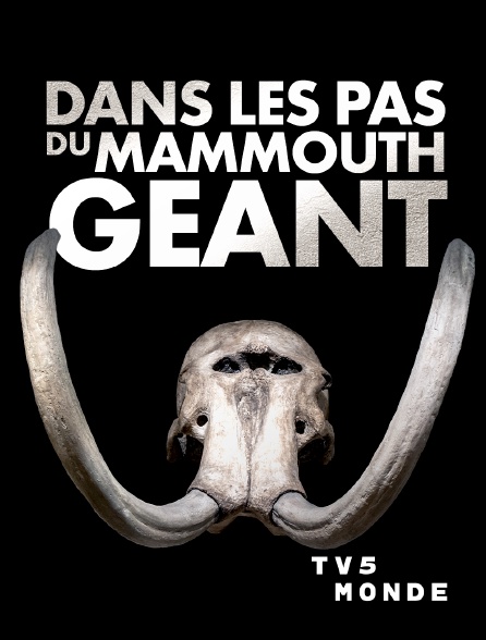 TV5MONDE - Dans les pas du mammouth géant