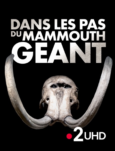 France 2 UHD - Dans les pas du mammouth géant