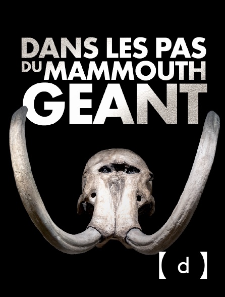 France TV Docs - Dans les pas du mammouth géant