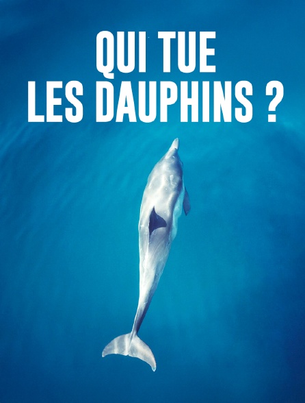 Qui tue les dauphins ?