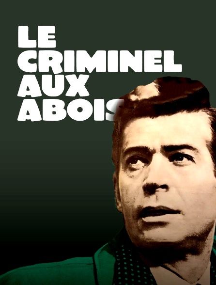 Le criminel aux abois