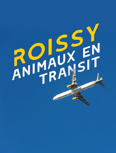 Roissy, animaux en transit