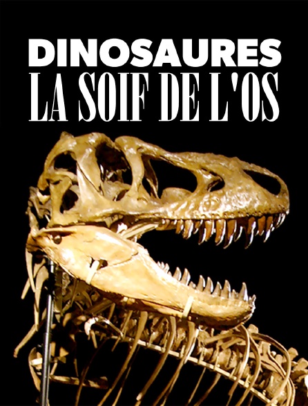 Dinosaures, la soif de l'os