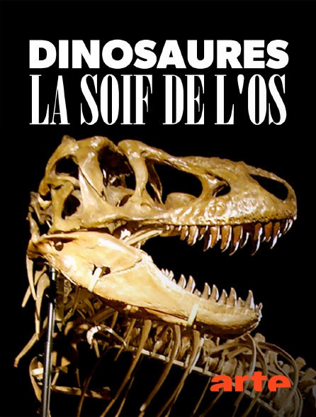Arte - Dinosaures, la soif de l'os