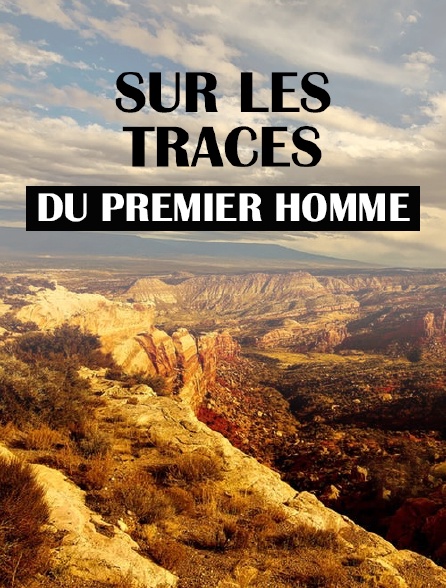 Sur les traces du premier homme