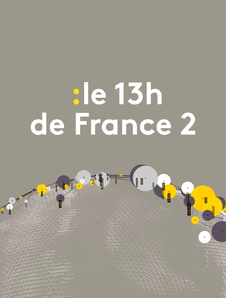 Le 13h de France 2 (Journal 13h00)