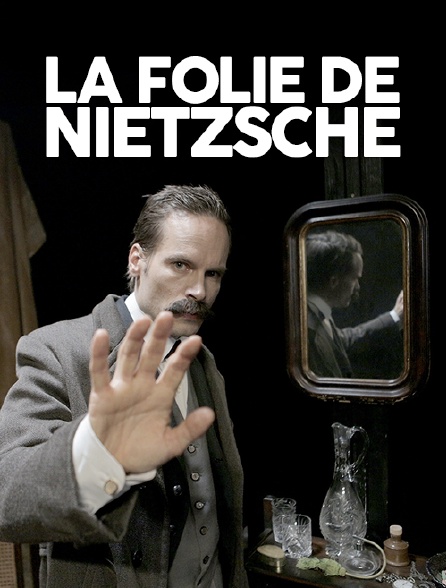La folie de Nietzsche