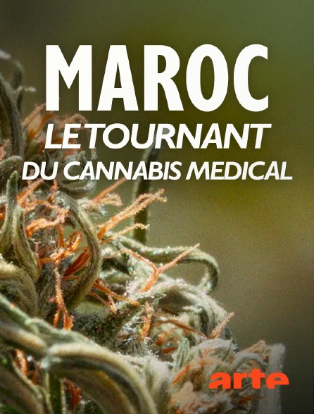 Arte - Maroc, le tournant du cannabis médical