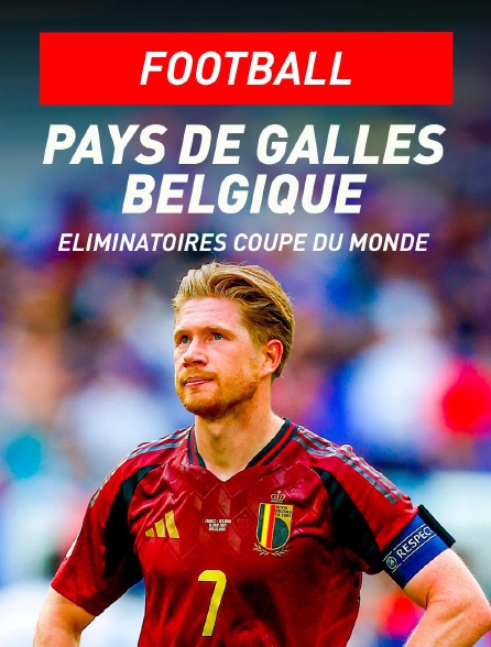 Football - Eliminatoires de la Coupe du Monde : Pays de Galles / Belgique