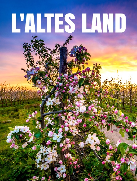 L'Altes Land : au coeur des vergers et des anciens marais