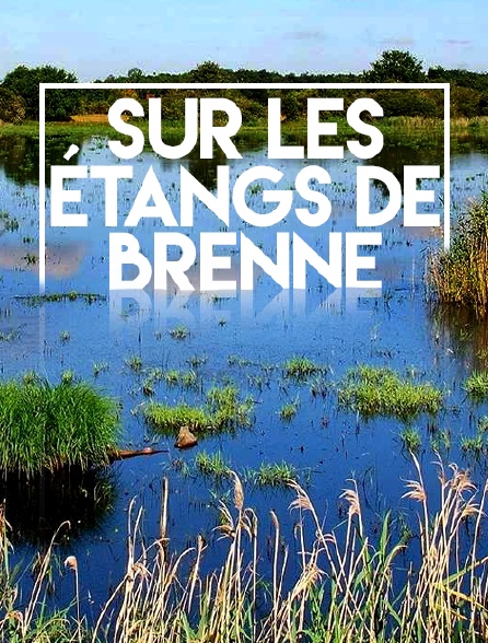 Sur les étangs de Brenne