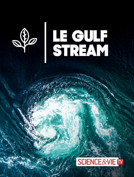 Science et Vie TV - Le Gulf Stream