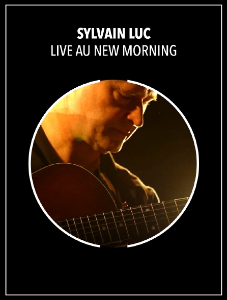 Sylvain Luc : Live au New Morning