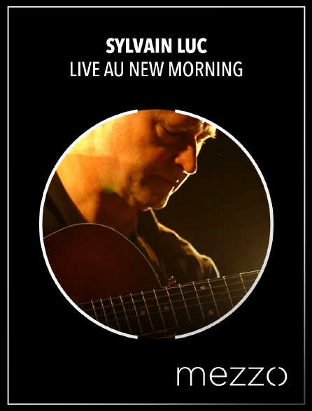 Mezzo - Sylvain Luc : Live au New Morning