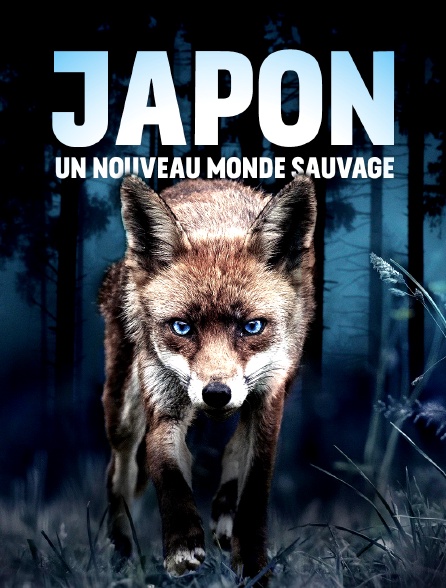 Japon, un nouveau monde sauvage