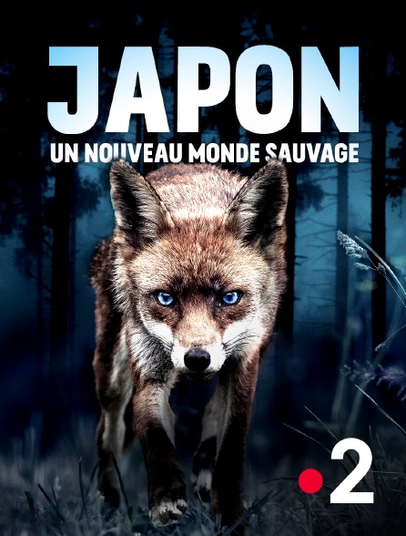France 2 - Japon, un nouveau monde sauvage