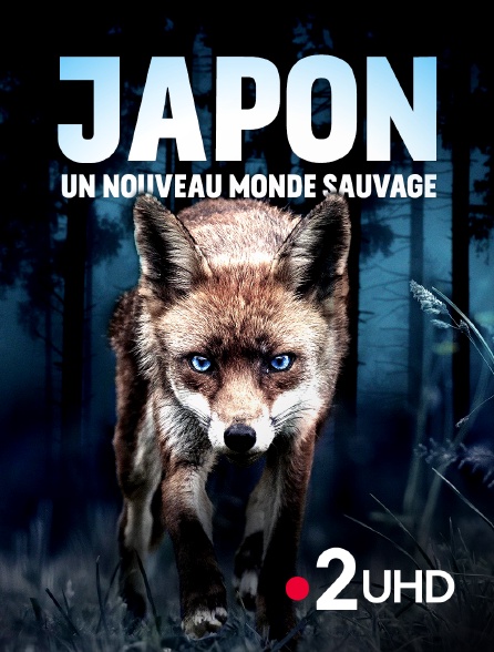 France 2 UHD - Japon, un nouveau monde sauvage