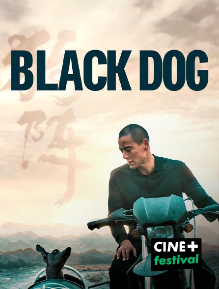 CINE+ Festival - Black Dog