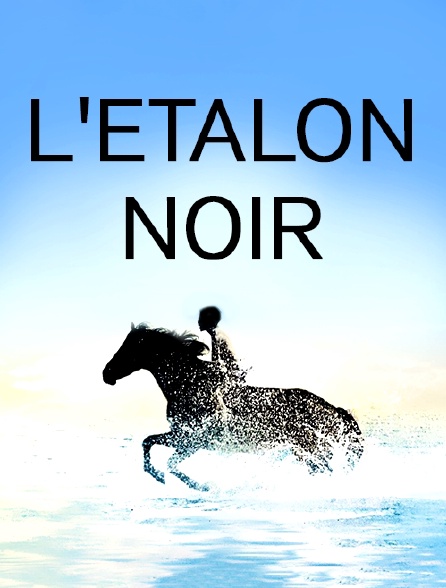 L'étalon noir