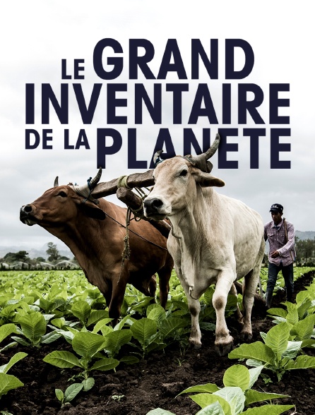 Le grand inventaire de la planète