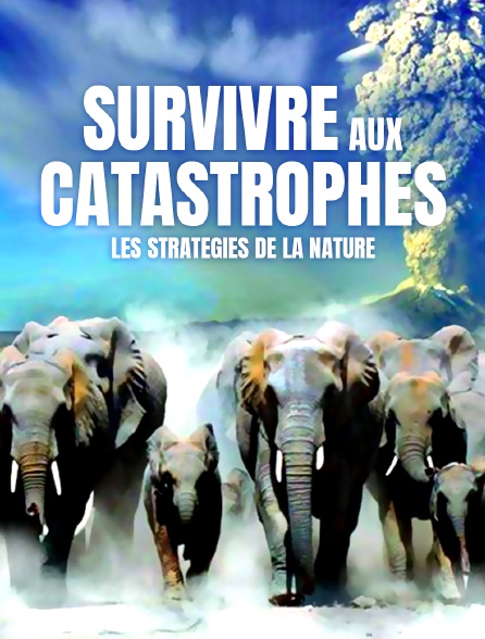 Survivre aux catastrophes : les stratégies de la nature