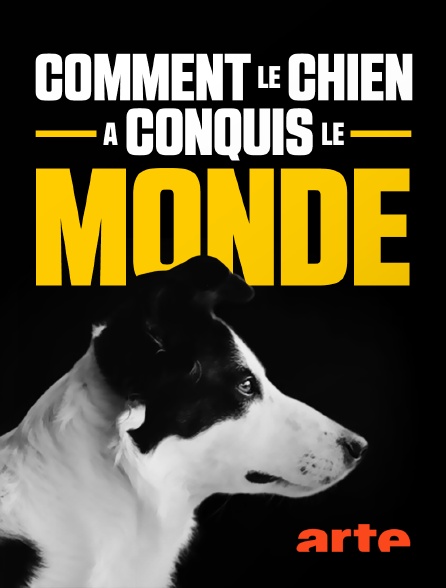 Arte - Comment le chien a conquis le monde