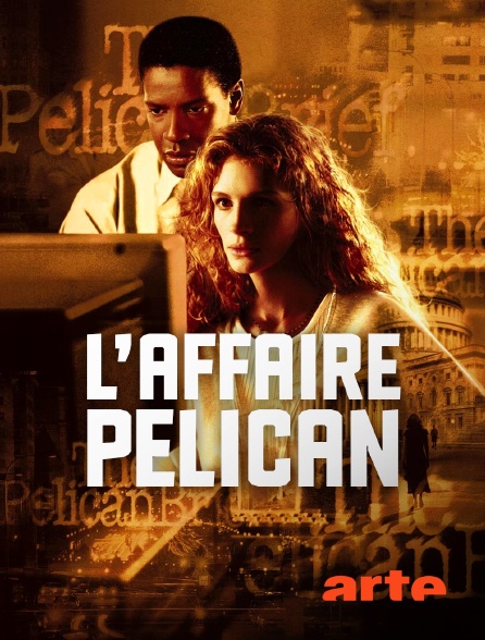 Arte - L'affaire Pélican