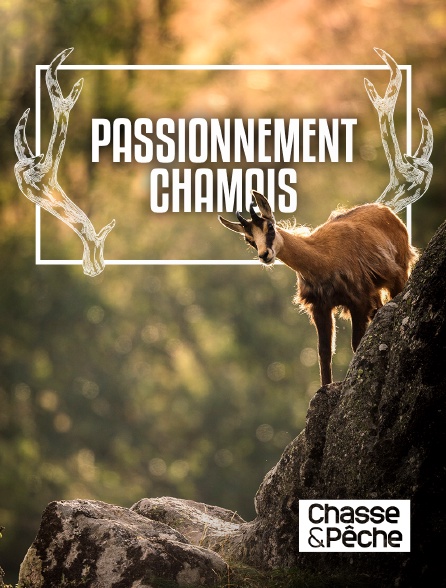 Chasse et pêche - Passionnément chamois