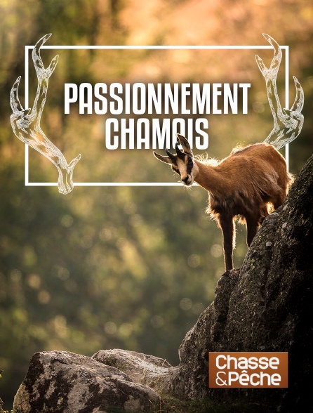 Chasse et pêche - Passionnément chamois