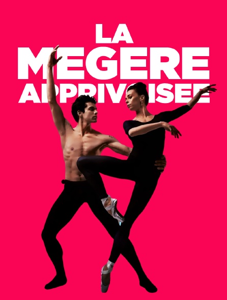 La Mégère apprivoisée