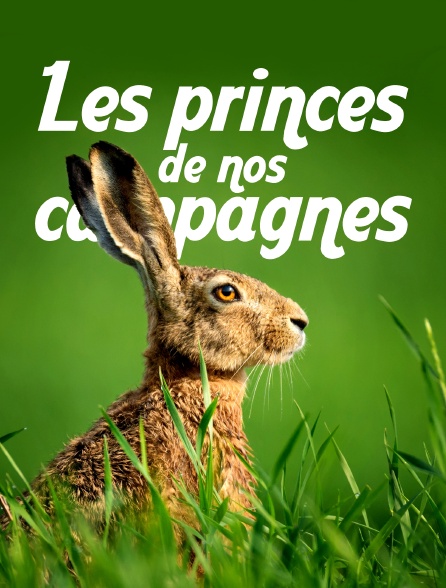 Les princes de nos campagnes