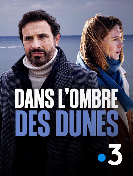 France 3 - Dans l'ombre des dunes