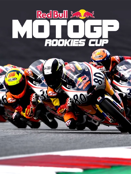 Motocyclisme - Red Bull Rookies Cup - 08/09/2024 à 17h05