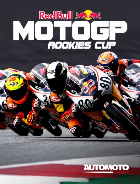 Automoto - Motocyclisme - Red Bull Rookies Cup