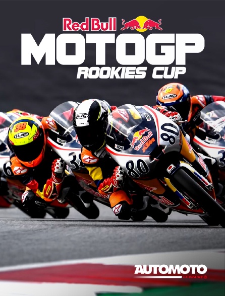 Automoto - Rookies Cup