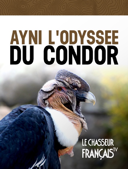 Le Chasseur Français - Ayni l'Odyssée du Condor - Cordillère des Andes en Argentine