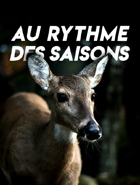 Au rythme des saisons