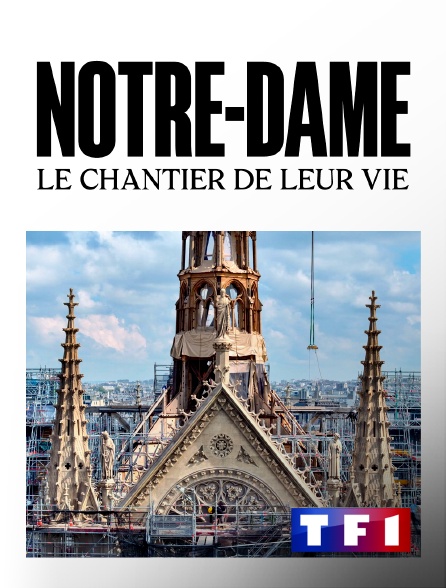 TF1 - Notre-Dame, le chantier de leur vie