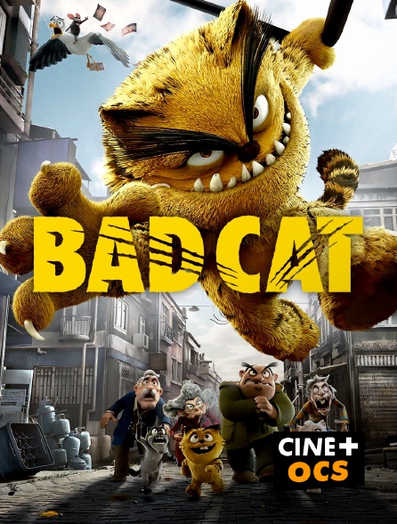 CINÉ Cinéma - Bad Cat