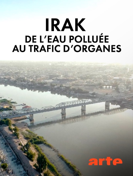 Arte - Irak : de l'eau polluée au trafic d'organes