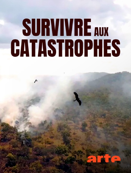 Arte - Survivre aux catastrophes : les stratégies de la nature