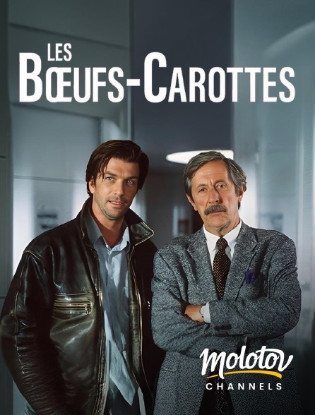 Molotov channels - Les Bœuf-carottes