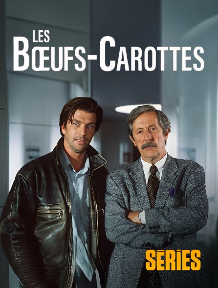 Molotov Channels Séries - Les Bœuf-carottes