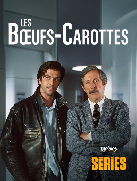 Molotov Channels Séries - Les Bœuf-carottes