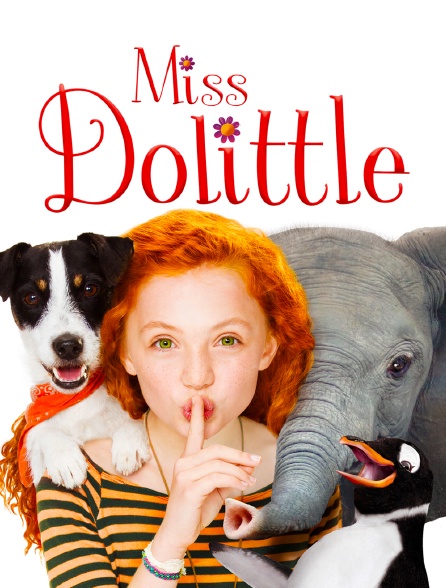Miss Dolittle