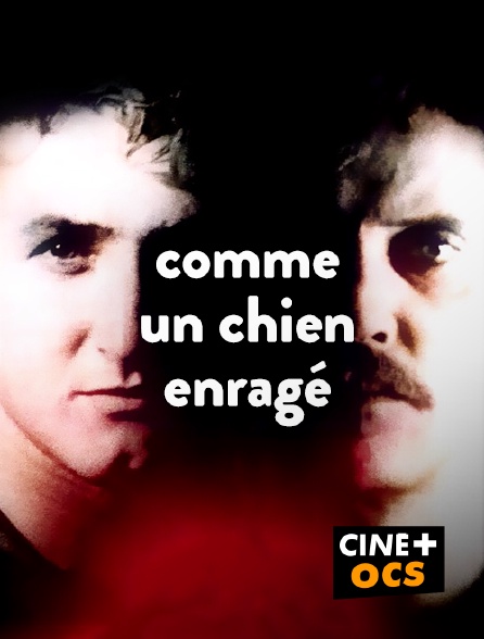 CINÉ Cinéma - Comme un chien enragé