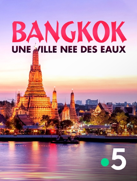 France 5 - Bangkok, une ville née des eaux