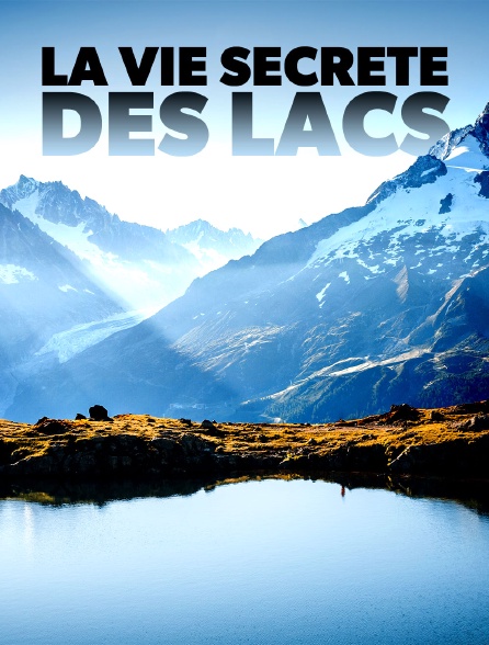 La vie secrète des lacs