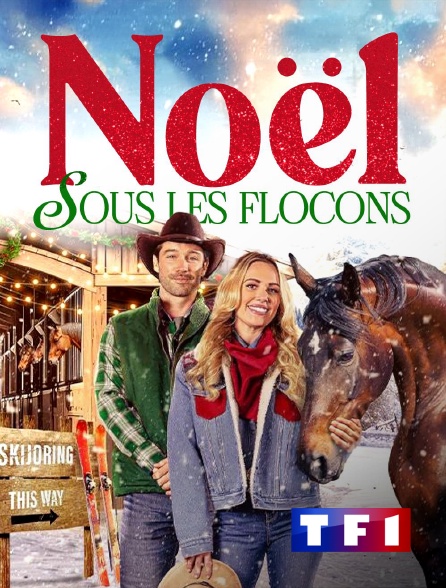 TF1 - Noël sous les flocons