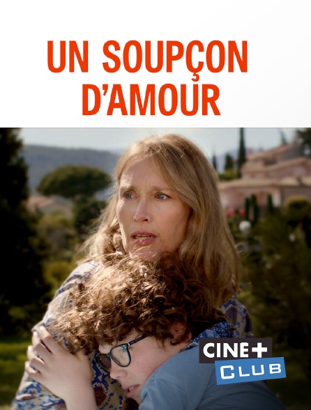 Un Soupçon D Amour Un soupçon d'amour en Streaming & Replay sur Ciné+ Club - Molotov.tv